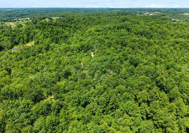 Homes for sale in Campton, KY | 131 High Ridge Rd, Campton, KY 41301 | MLS# 26003705
