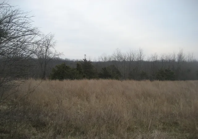Photo 3 of Sale Pending at 1234 Rutherford School Rd, Lawrenceburg, KY 40342 | MLS# 26003633 | Listing updated on 2026-06-12