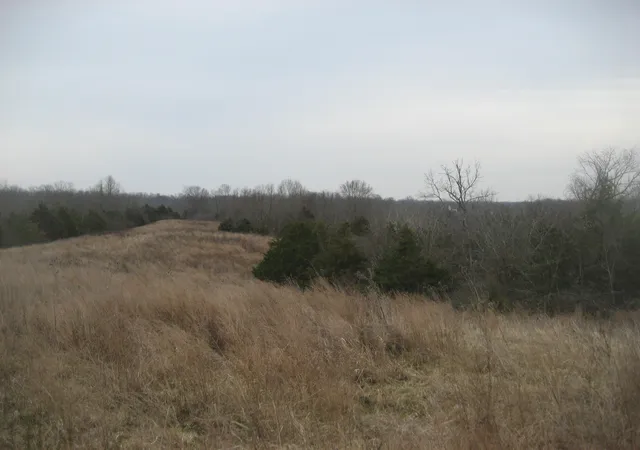 Photo 4 of Sale Pending at 1234 Rutherford School Rd, Lawrenceburg, KY 40342 | MLS# 26003633 | Listing updated on 2026-06-12