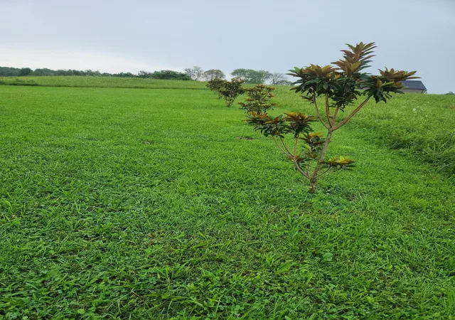 Photo 3 of Land for sale at 10 River Oaks Cir, London, KY 40744 | MLS# 26003985 | Listing updated on 2026-07-01