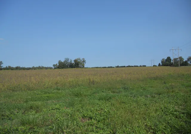 2nd image of 5420 Lexington Rd, Paris, KY 40361 | MLS# 26004122