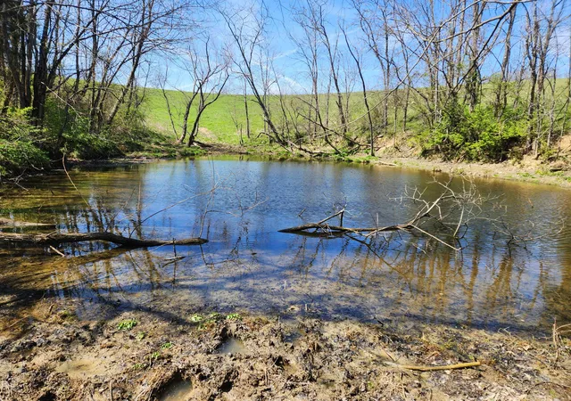 Homes for sale in Carlisle, KY | 1300 Lower Concord Rd, Carlisle, KY 40311 | MLS# 26004536