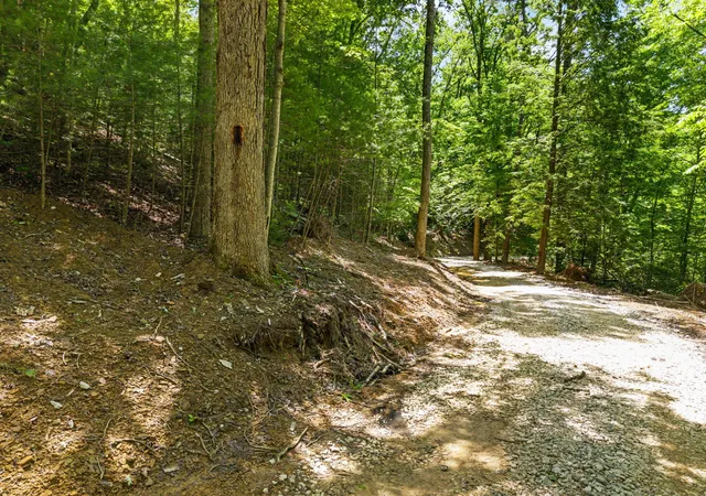 Homes for sale in Campton, KY | 181 High Ridge Rd, Campton, KY 41301 | MLS# 26004380