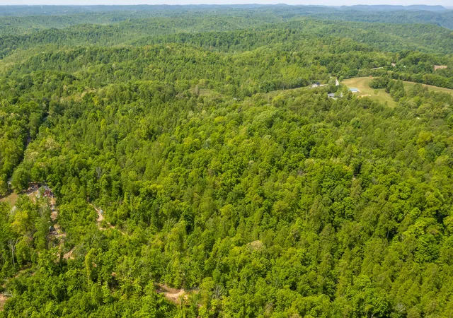 Homes for sale in Mc Kee, KY | 0 State Hwy 2004, Mc Kee, KY 40447 | MLS# 26004773