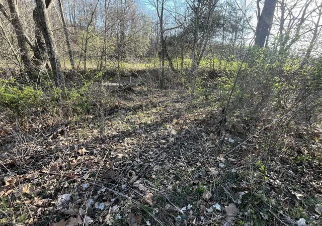 Homes for sale in Gravel Switch, KY | 2864 Scrubgrass Rd, Gravel Switch, KY 40328 | MLS# 26005043