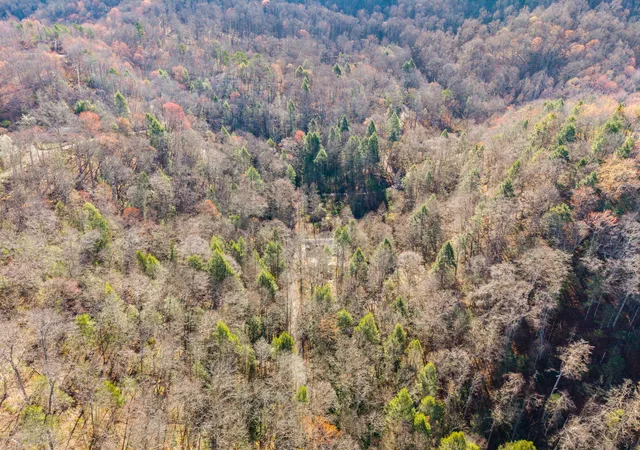 Photo 3 of Land for sale at 790 Dinah Blair Holw Rd, Whitesburg, KY 41858 | MLS# 26004747 | Listing updated on 2026-08-25