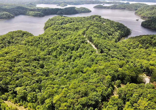 Photo 3 of Land for sale at 132 Sandstone Point Trl, Monticello, KY 42633 | MLS# 26005111 | Listing updated on 2026-03-16
