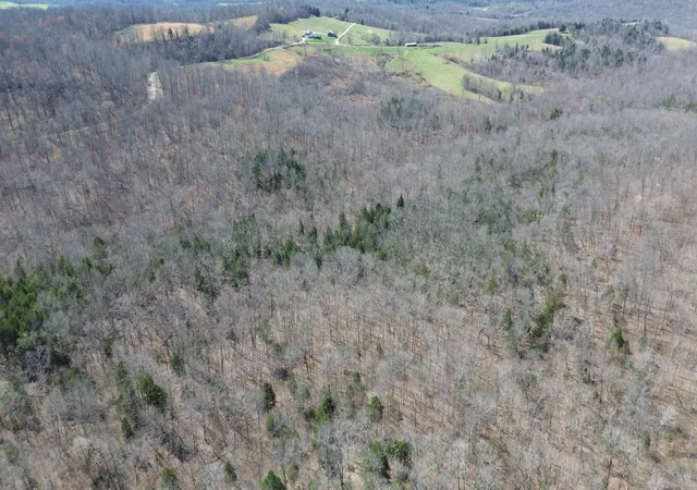Photo 1 of Land for sale at 92a Riverside Benleo Rd, Bowling Green, KY 42101 | MLS# 26005363 | Listing updated on 2026-03-26