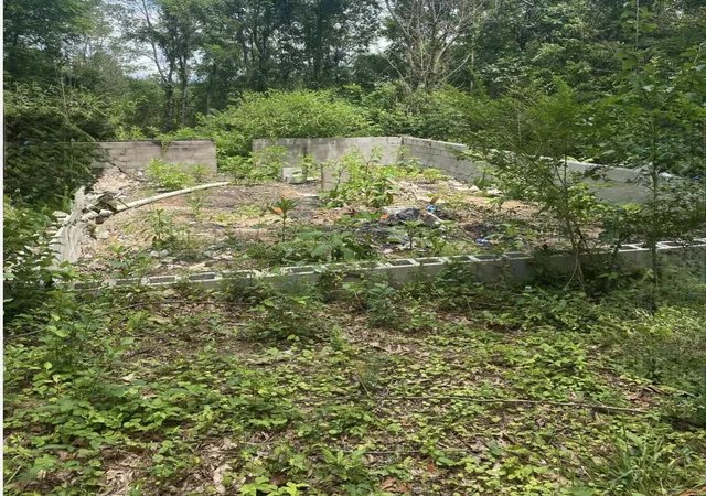 Photo 4 of Land for sale at 7412 S Us Hwy 25, Corbin, KY 40701 | MLS# 26005632 | Listing updated on 2026-03-21