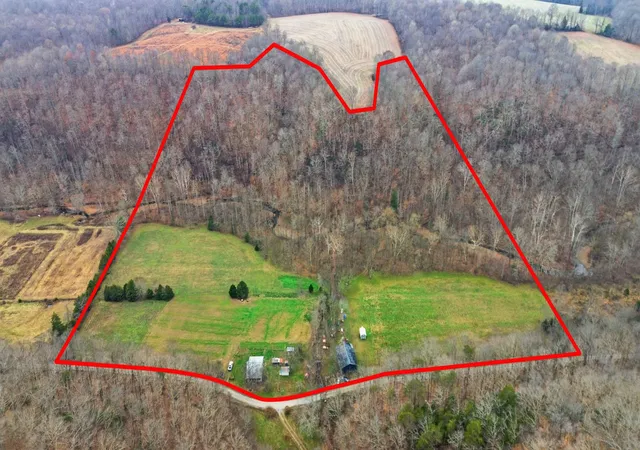 Homes for sale in Science Hill, KY | 1666 Pointer Creek Rd, Science Hill, KY 42553 | MLS# 26005635