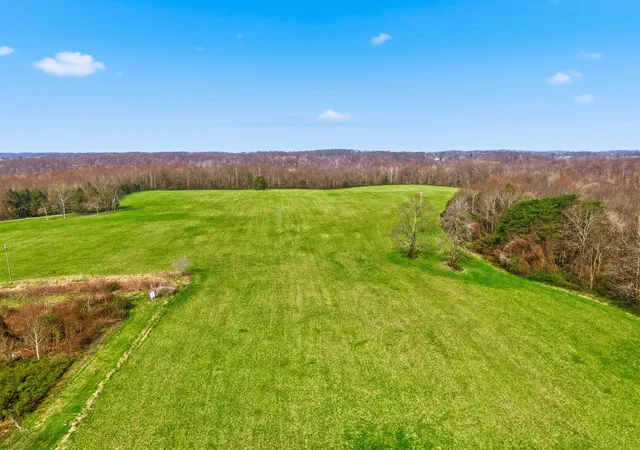 3rd image of 295 Spencer Gabbert Ln, Waynesburg, KY 40489 | MLS# 26005704
