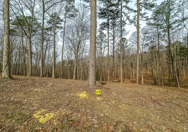 Land for sale at 3972 Hazel Patch Rd, East Bernstadt, KY 40729 | MLS# 26005805
