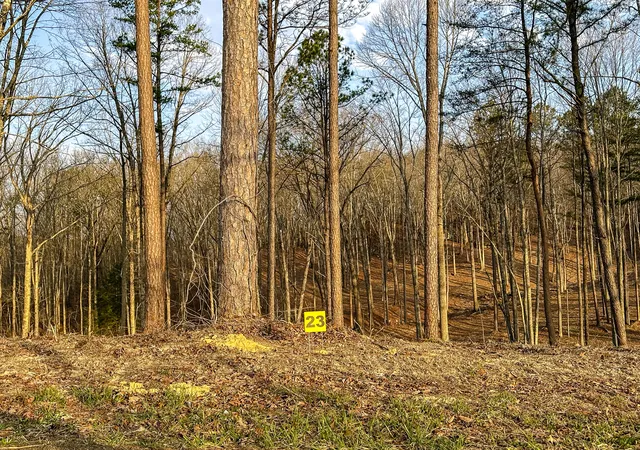 Photo 4 of Land for sale at 3972 Hazel Patch Rd, East Bernstadt, KY 40729 | MLS# 26005805 | Listing updated on 2026-09-28