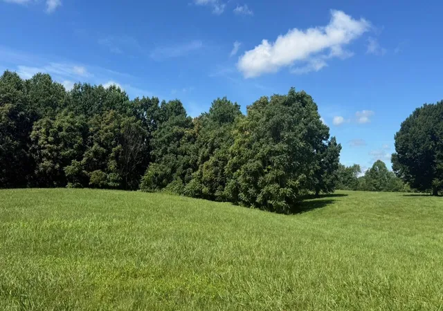 Photo 3 of Land for sale at 97 Paradise Aly, Columbia, KY 42728 | MLS# 26005802 | Listing updated on 2026-07-20
