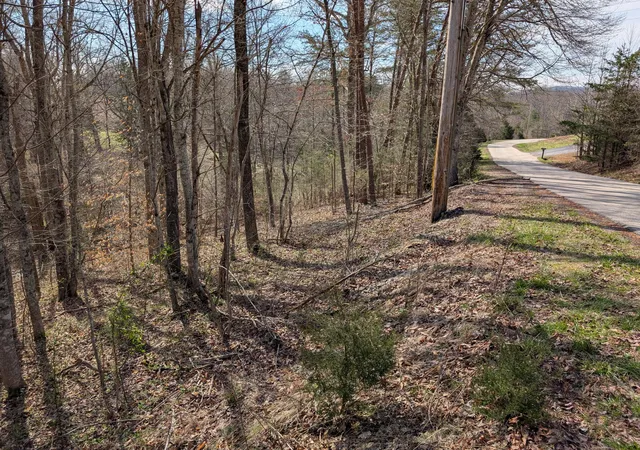 Homes for sale in Irvine, KY | Lot 6 Woods Trail Dr #6, Irvine, KY 40336 | MLS# 26005845