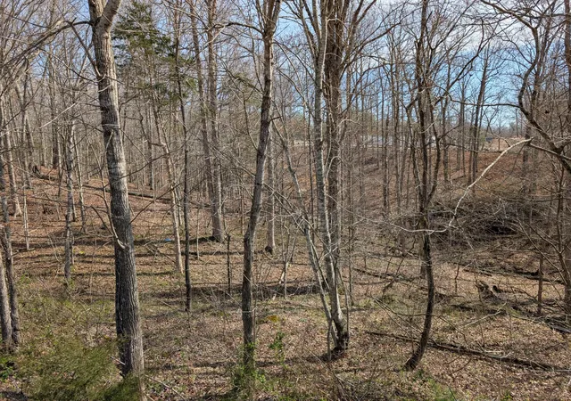 Homes for sale in Irvine, KY | Lot 6 Woods Trail Dr #6, Irvine, KY 40336 | MLS# 26005845