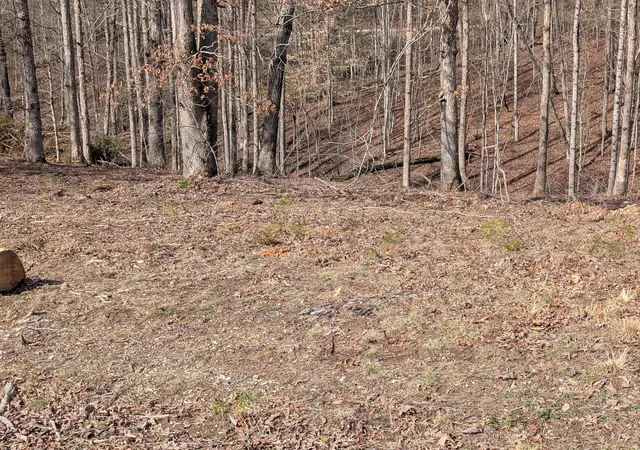 Homes for sale in Irvine, KY | Lot 7 Woods Trail Dr #7, Irvine, KY 40336 | MLS# 26005847