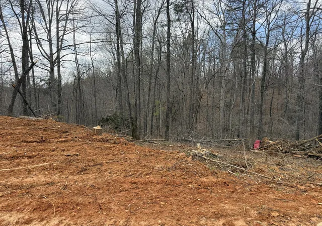 Homes for sale in Monticello, KY | Lot 1 Phase 2 Stearns Hollow Rd, Monticello, KY 42633 | MLS# 26005730