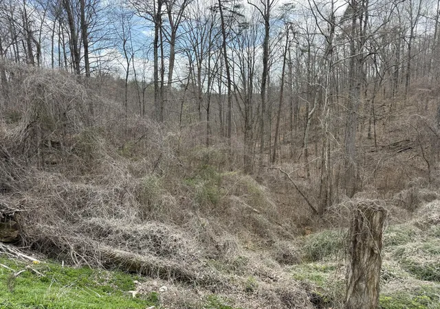 Homes for sale in Monticello, KY | Lot 1 Phase 2 Stearns Hollow Rd, Monticello, KY 42633 | MLS# 26005730