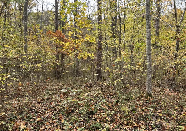Homes for sale in Clay City, KY | 70 Millstone Rd, Clay City, KY 40312 | MLS# 26006011