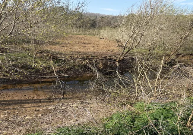 Photo 1 of Land for sale at 603 State Hwy 1003, Somerset, KY 42501 | MLS# 26006065 | Listing updated on 2026-10-18