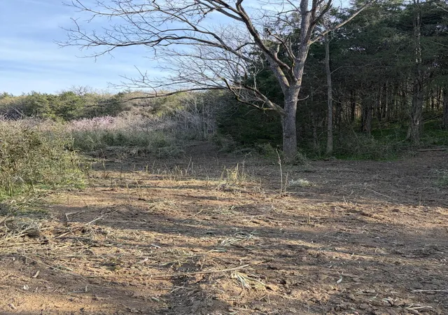 Photo 4 of Land for sale at 603 State Hwy 1003, Somerset, KY 42501 | MLS# 26006065 | Listing updated on 2026-10-18