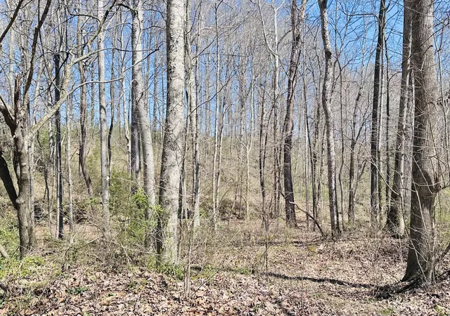 Photo 3 of Sale Pending at 495 Clear Frk Branch Rd, Eubank, KY 42567 | MLS# 26006283 | Listing updated on 2026-08-18