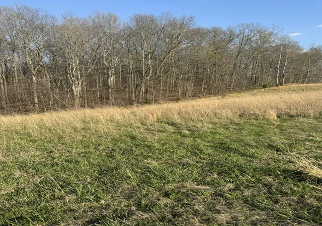 16th image of 3136 Parks Ridge Rd, Russell Springs, KY 42642 | MLS# 26006398