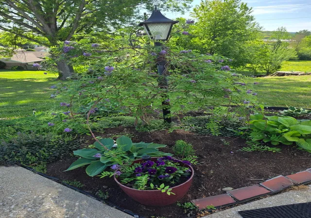 34th image of 144 Canary Cir, Corbin, KY 40701 | MLS# 26006746