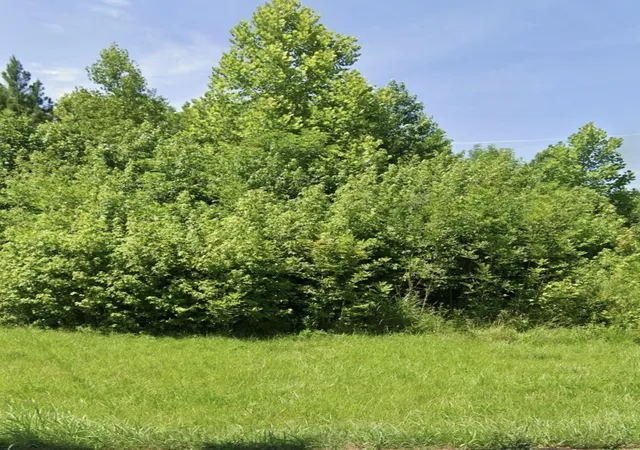 Photo 3 of Single family home for sale at 717 Highway 441, Middlesboro, KY 40965 | MLS# 26006775 | Listing updated on 2026-04-15