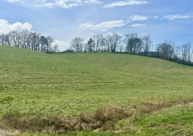 Photo 4 of Land for sale at 133 Jaguar Way, London, KY 40741 | MLS# 26006815 | Listing updated on 2026-04-02