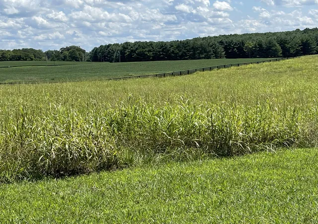 Photo 1 of Land for sale at 40 Beacon St, Russell Springs, KY 42642 | MLS# 26007025 | Listing updated on 2026-07-31