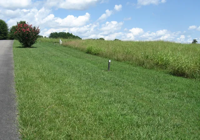 Photo 2 of Land for sale at 40 Beacon St, Russell Springs, KY 42642 | MLS# 26007025 | Listing updated on 2026-07-31