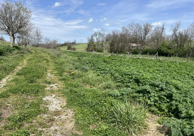 23rd image of 3056 Irvine Rd, Winchester, KY 40391 | MLS# 26007074