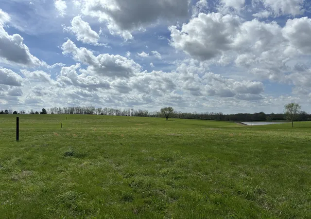 5th image of 385 Mills Ln, Frankfort, KY 40601 | MLS# 26007093