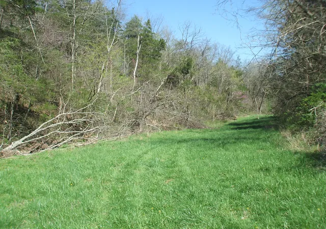 Photo 3 of Land for sale at 4000 W Bardstown Rd, Lawrenceburg, KY 40342 | MLS# 26007404 | Listing updated on 2026-04-09