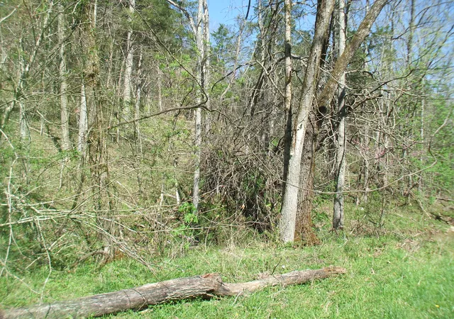 Photo 3 of Land for sale at 4000 W Bardstown Rd, Lawrenceburg, KY 40342 | MLS# 26007404 | Listing updated on 2026-04-09