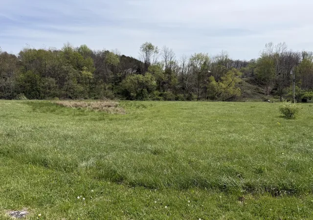Photo 4 of Sale Pending at 9999 Birch Crk Ln, East Bernstadt, KY 40729 | MLS# 26007425 | Listing updated on 2026-10-13