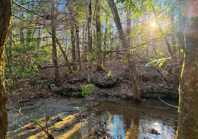 Photo 1 of Land for sale at 9999 Gibson Ln, Williamsburg, KY 40769 | MLS# 26007447 | Listing updated on 2026-08-01
