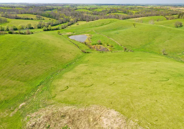 29th image of 3386 Cane Ridge Rd, Paris, KY 40361 | MLS# 26007718