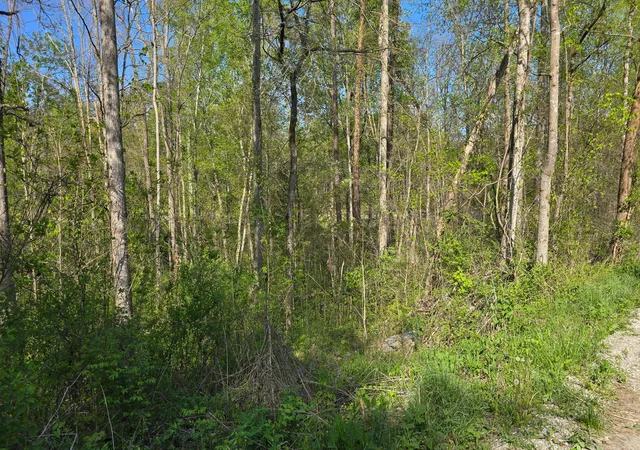 Homes for sale in Somerset, KY | Lots 29, 30 Suncrest Dr #Lots 29 & 30, Somerset, KY 42501 | MLS# 26007665