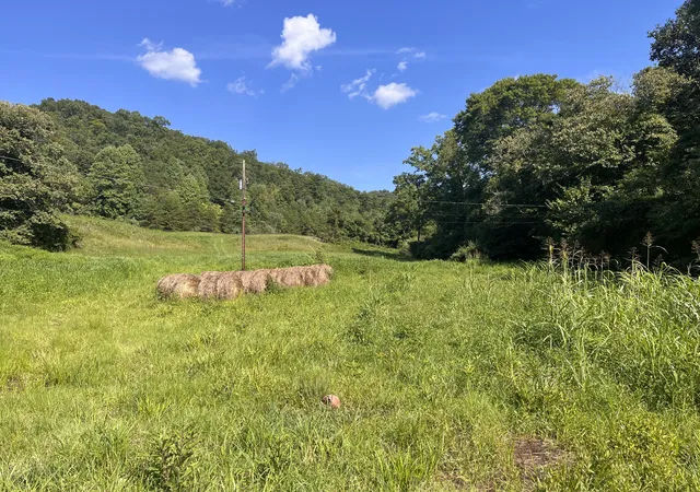 Photo 3 of Land for sale at 198 Crawford Isom Rd, Manchester, KY 40962 | MLS# 26007590 | Listing updated on 2026-04-10