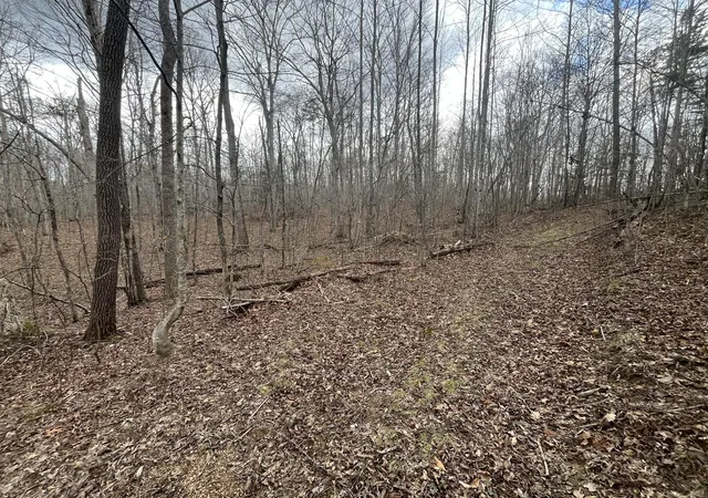 Homes for sale in Ravenna, KY | Lot 10 Mountain Springs Cem Rd, Ravenna, KY 40472 | MLS# 26007780