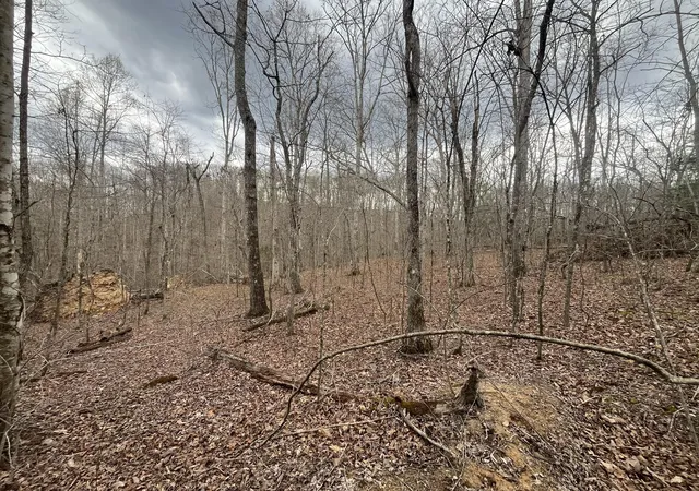 Homes for sale in Ravenna, KY | Lot 10 Mountain Springs Cem Rd, Ravenna, KY 40472 | MLS# 26007780