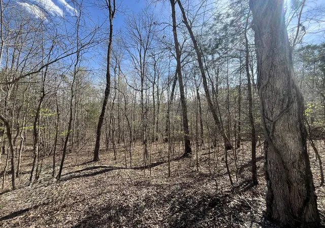 Homes for sale in Ravenna, KY | Lot 10 Mountain Springs Cem Rd, Ravenna, KY 40472 | MLS# 26007780