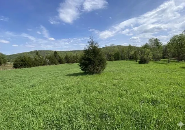 Homes for sale in Monticello, KY | Tract 1 Floyd Morrow Rd, Monticello, KY 42633 | MLS# 26007894