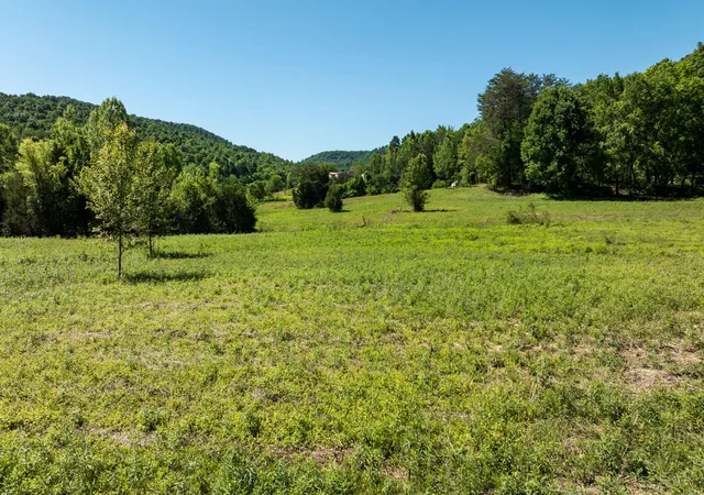 Homes for sale in Monticello, KY | Tract 1 Floyd Morrow Rd, Monticello, KY 42633 | MLS# 26007894