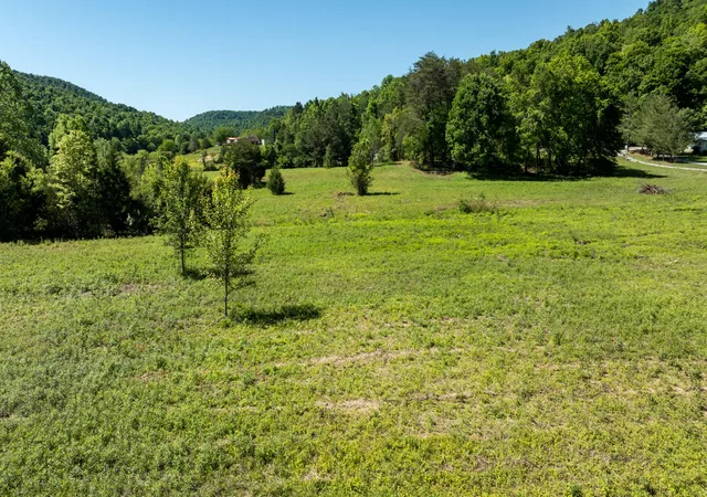 Homes for sale in Monticello, KY | Tract 1 Floyd Morrow Rd, Monticello, KY 42633 | MLS# 26007894