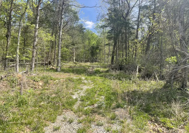 Photo 3 of Land for sale at 4288 Elihu Cabin Holw Rd, Somerset, KY 42501 | MLS# 26007947 | Listing updated on 2026-04-15