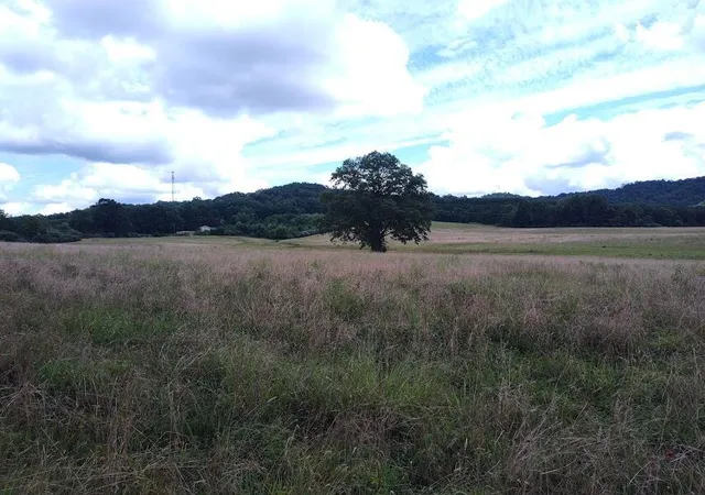 Photo 2 of Land for sale at 460 Skaggs Rd, Morehead, KY 40351 | MLS# 26007931 | Listing updated on 2026-04-15